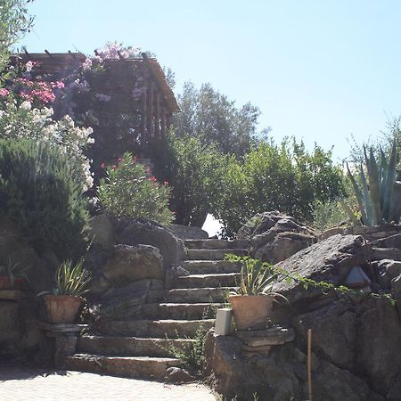 Rocca Del Vento Bed and Breakfast San Pantaleone Exteriör bild
