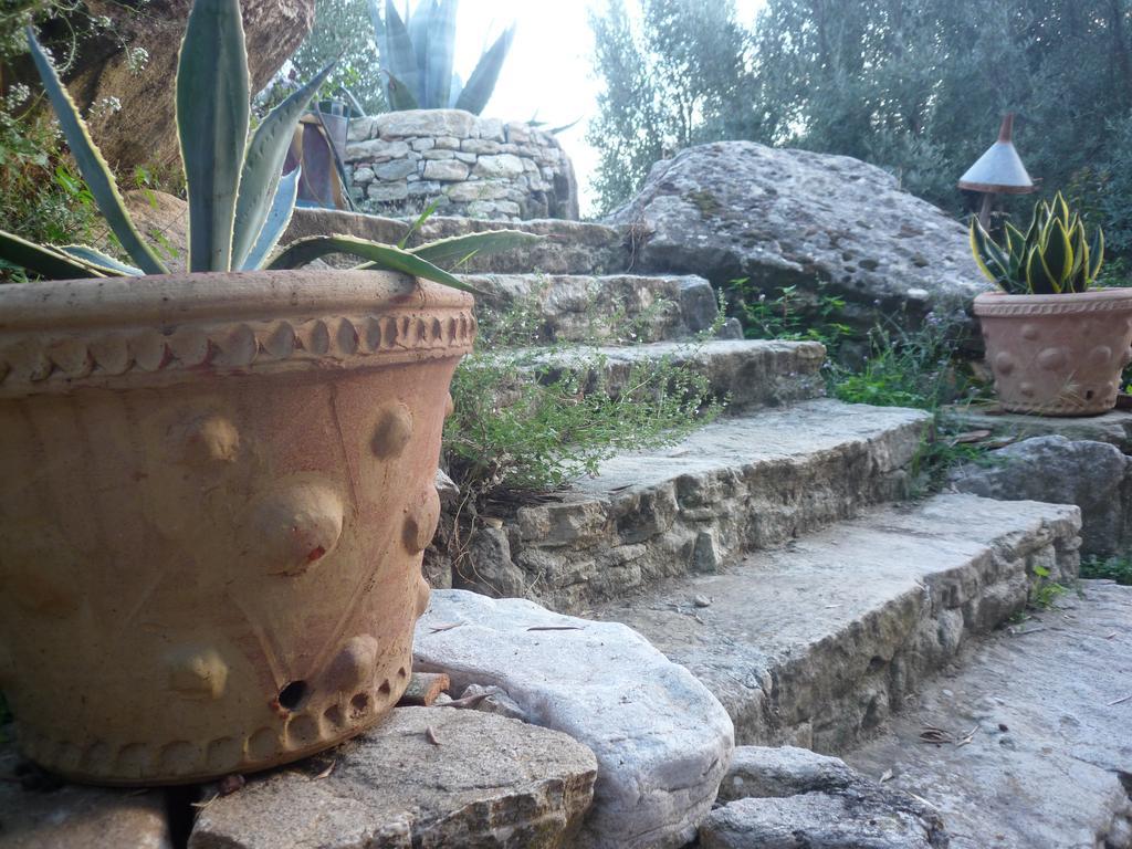Rocca Del Vento Bed and Breakfast San Pantaleone Exteriör bild