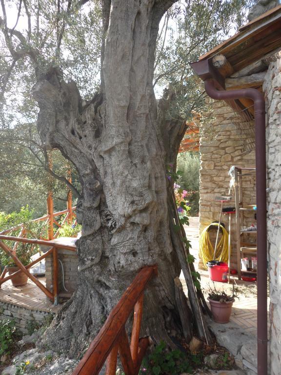 Rocca Del Vento Bed and Breakfast San Pantaleone Exteriör bild
