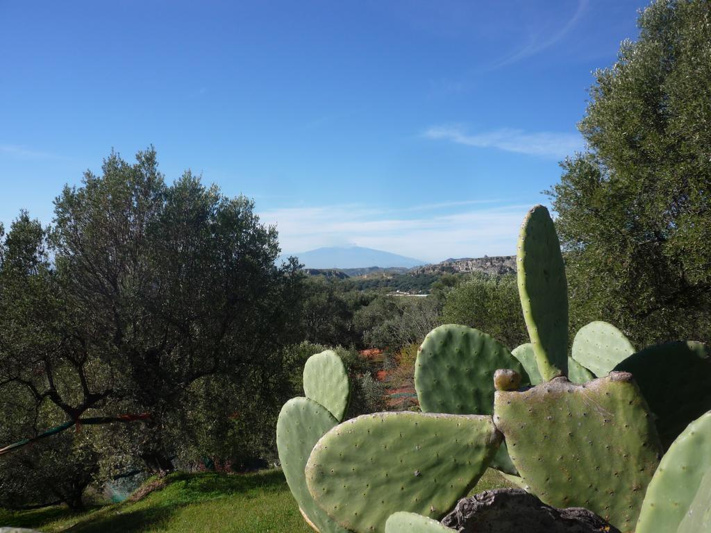 Rocca Del Vento Bed and Breakfast San Pantaleone Exteriör bild