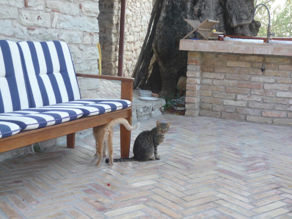 Rocca Del Vento Bed and Breakfast San Pantaleone Exteriör bild