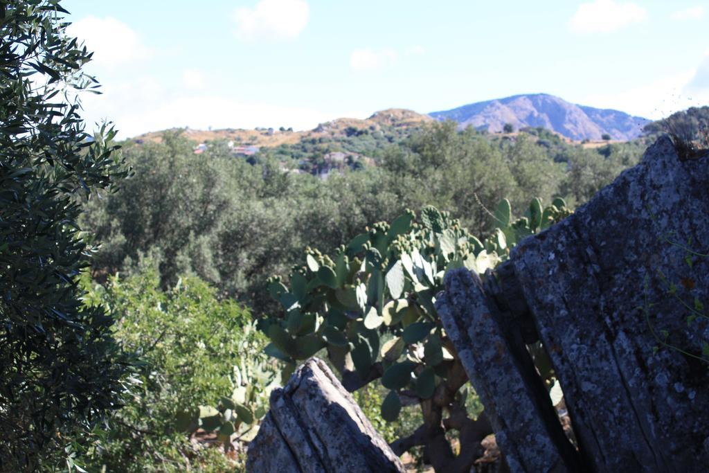 Rocca Del Vento Bed and Breakfast San Pantaleone Exteriör bild